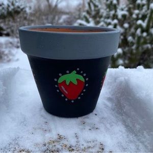 - Harry Styles inspired Coachella  plant pot